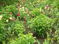 заповідник