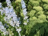 Стодоли  - найживописніше село Придесення