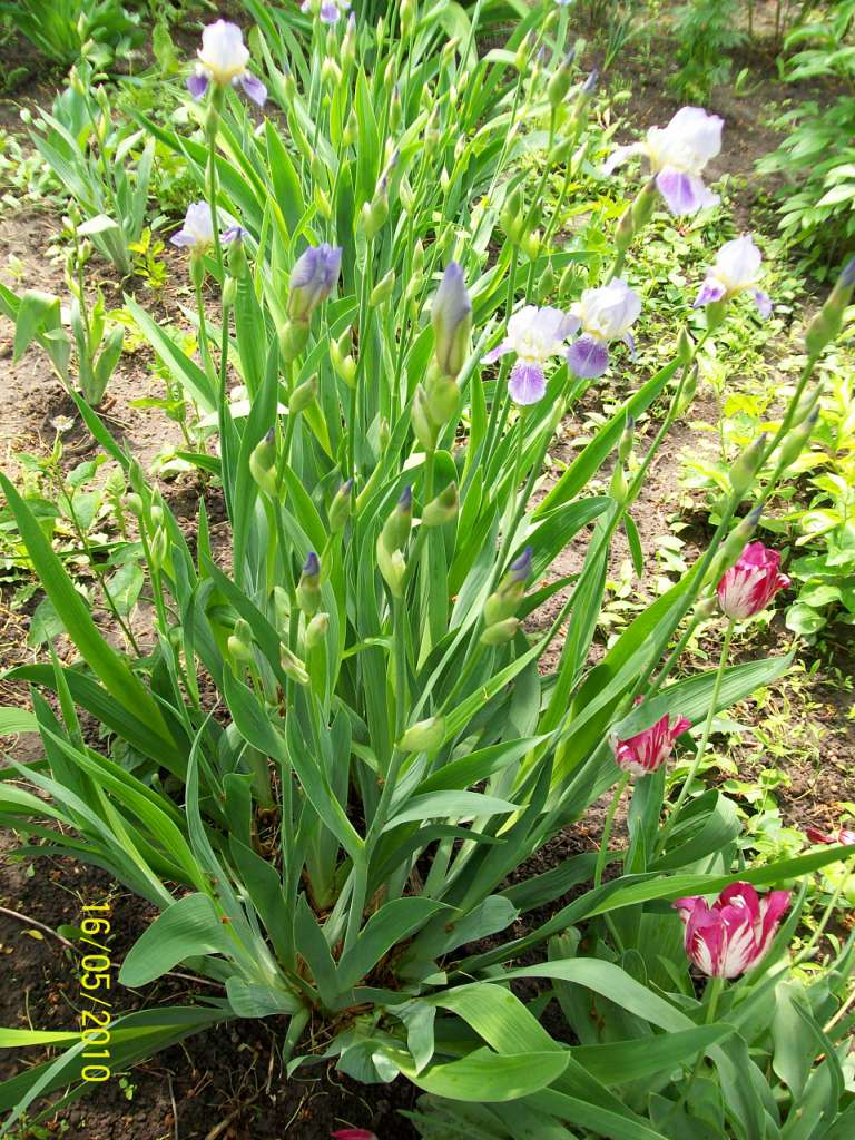 заповідник - Ковбащина