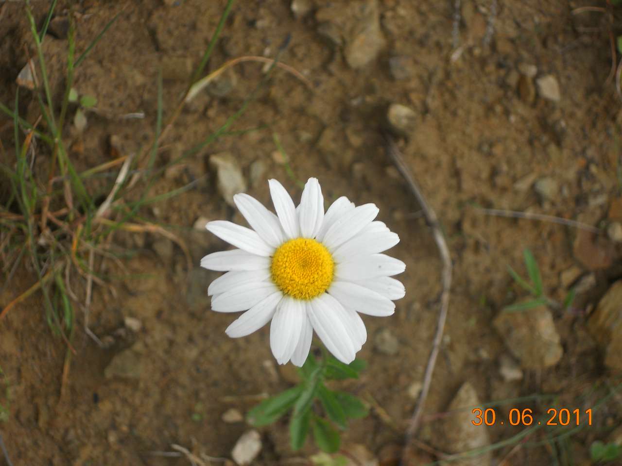 Маленька Швейцарія-2 - Опака