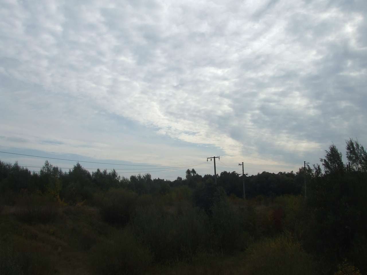 краєвид - Дулибы
