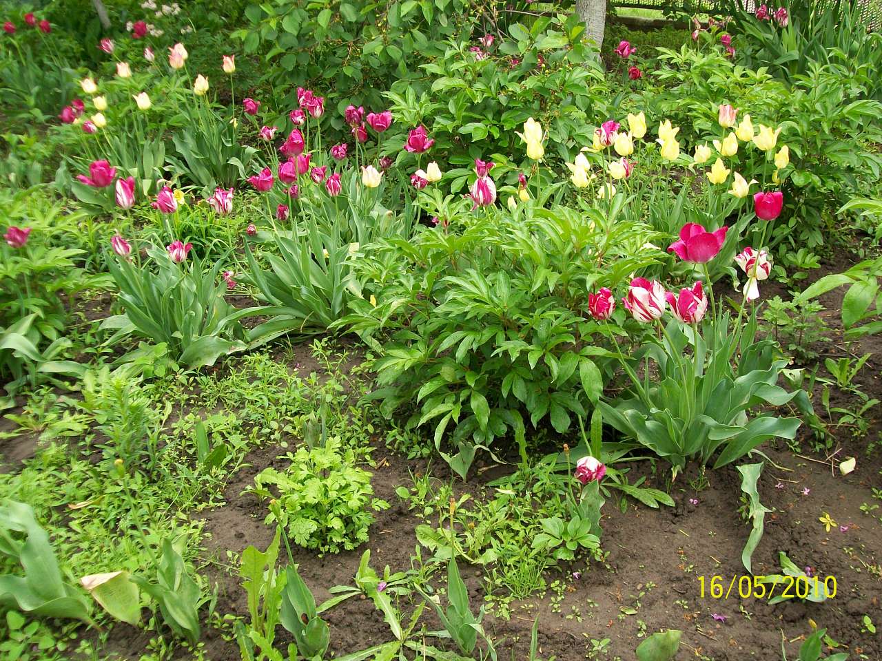 заповідник - Ковбащина