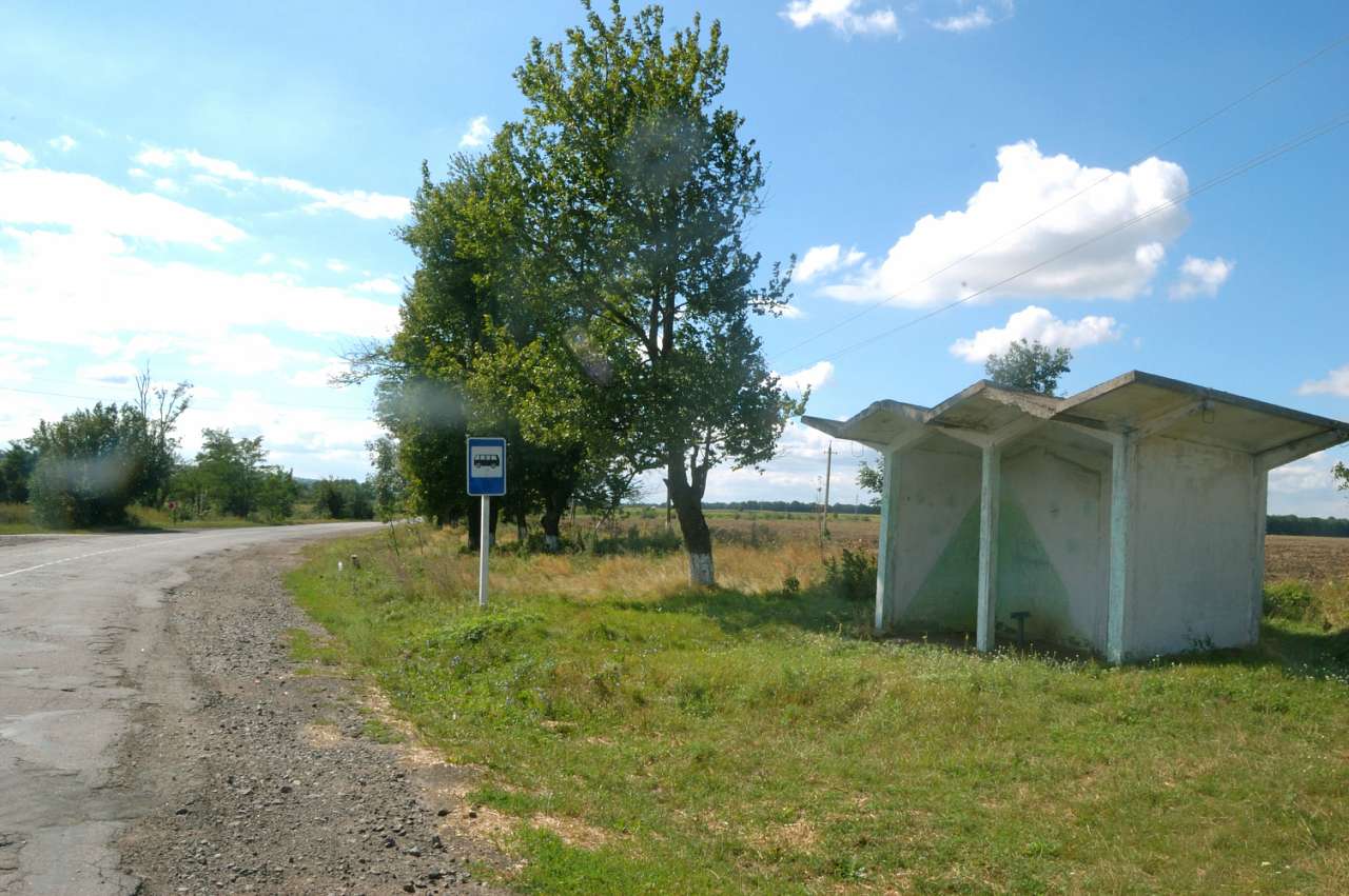 Просторы Цыбулевки и Литовчуки - Цибулівка