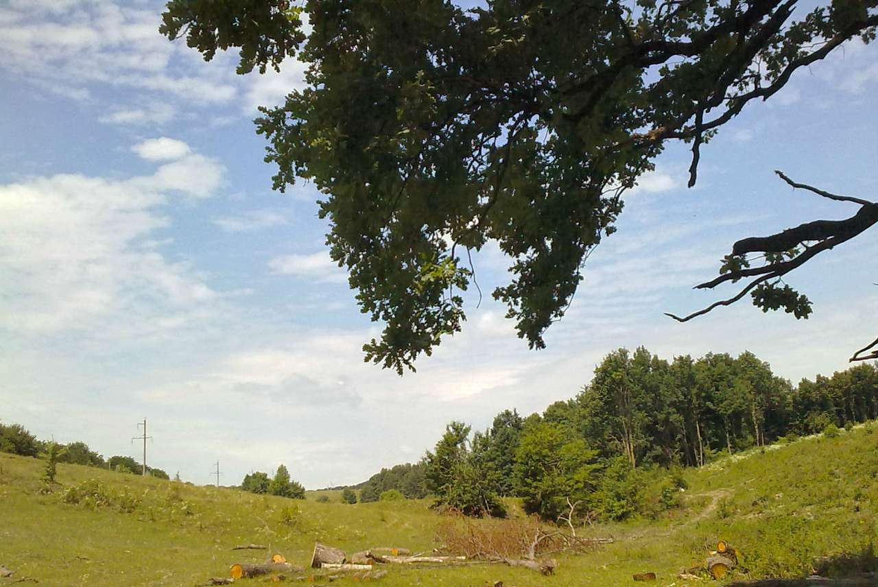 Рідні місця - Левківці