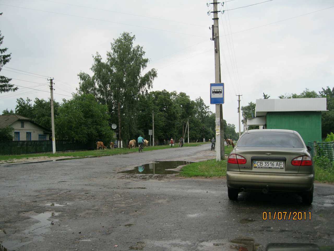 Село Ліски. - Ліски