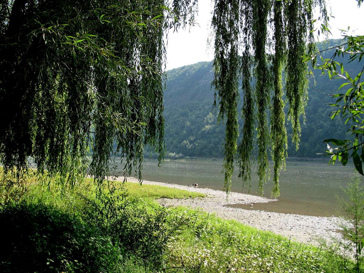 zalischyky - Залещики