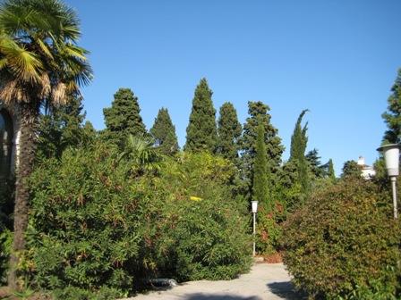 Осіння Ялта - Ялта