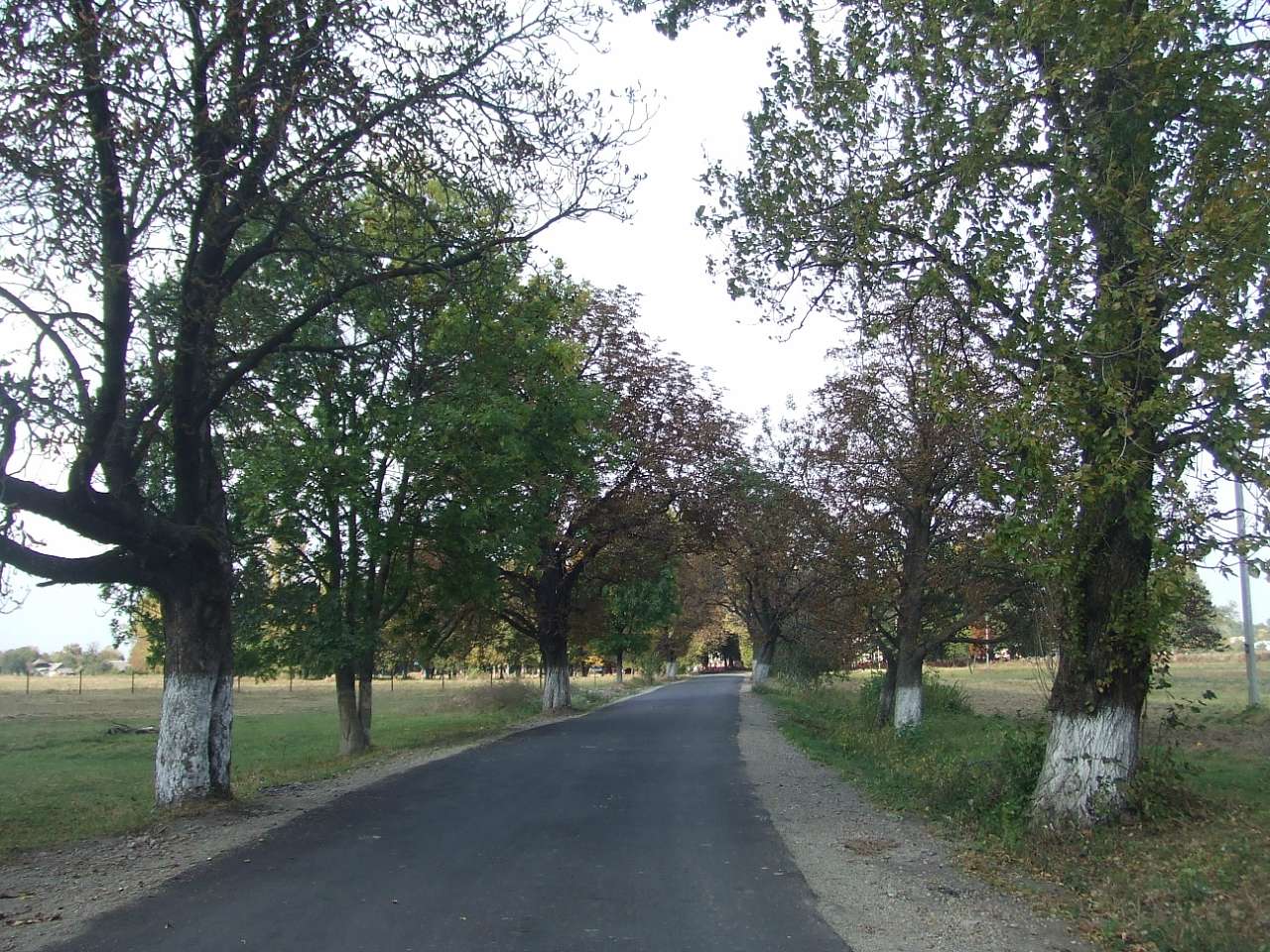 краєвид - Дулибы