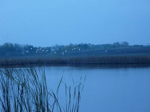 Сабаровка - Сабарівка