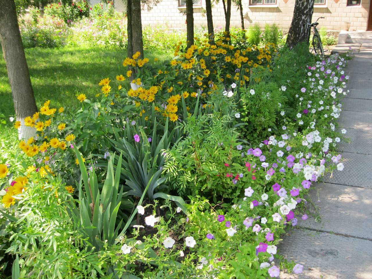Село Ліски. - Ліски