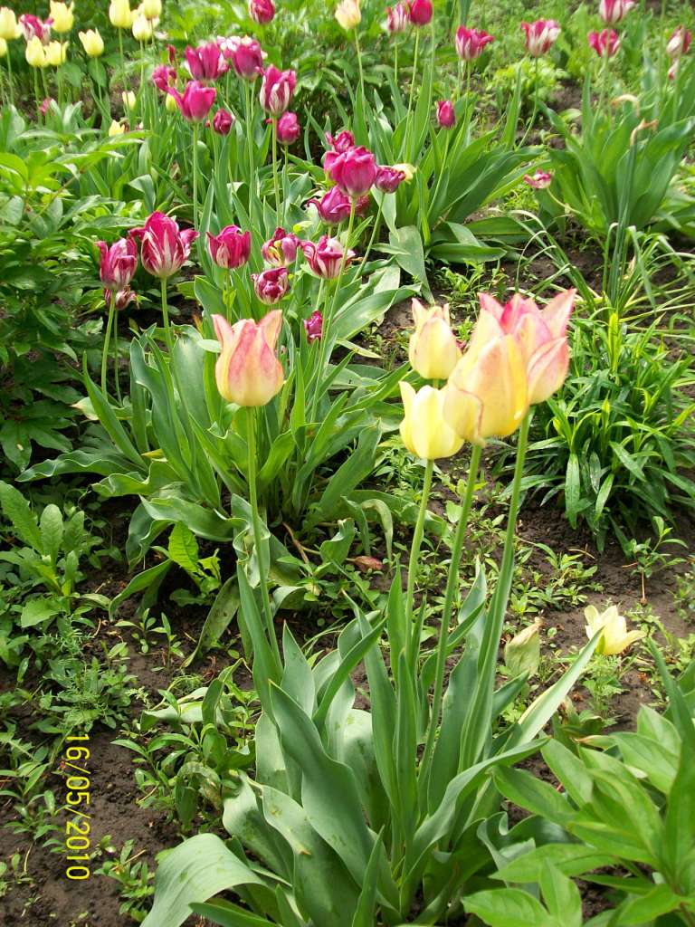 заповідник - Ковбащина