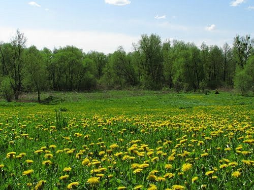 Сабаровка - Сабарівка