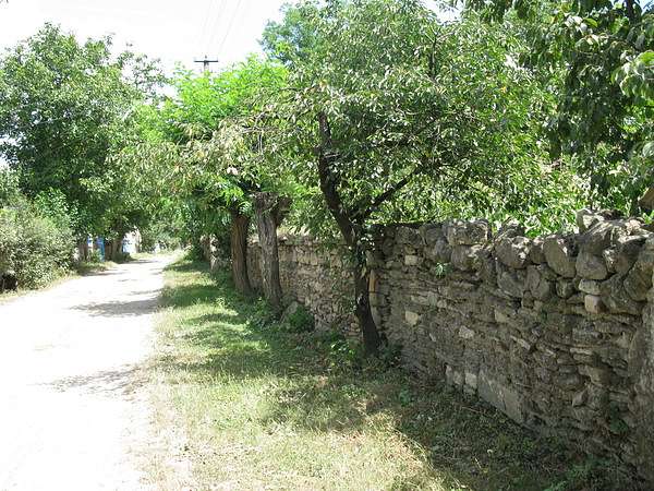 Дністрові обрії - Брідок