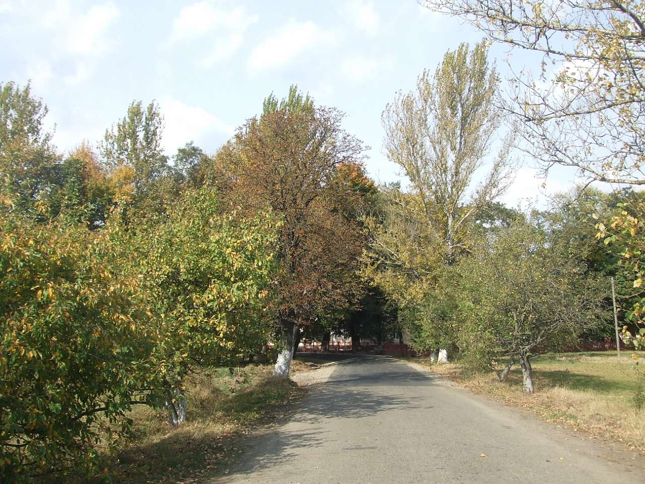 краєвид - Дулибы