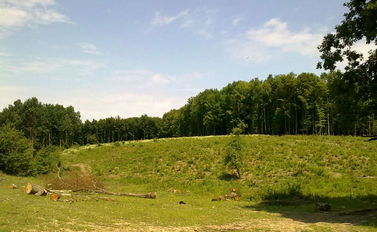 Рідні місця - Левківці