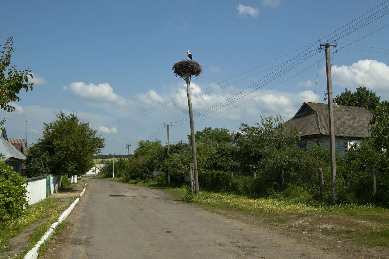 Просторы Цыбулевки и Литовчуки - Цибулівка