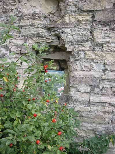 Кудринці - Кудринці