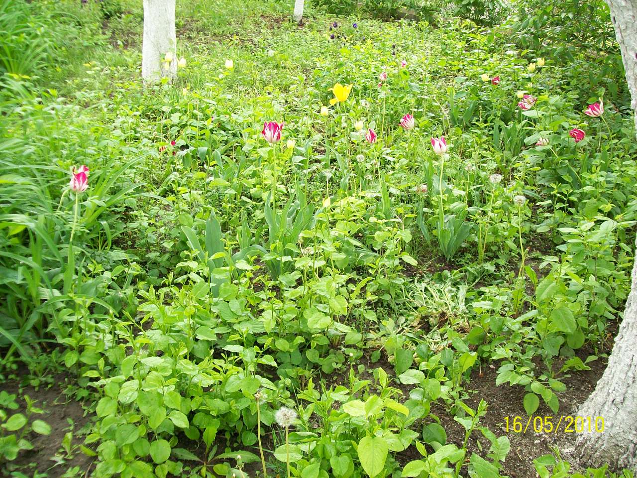 заповідник - Ковбащина