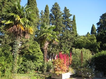 Осіння Ялта - Ялта