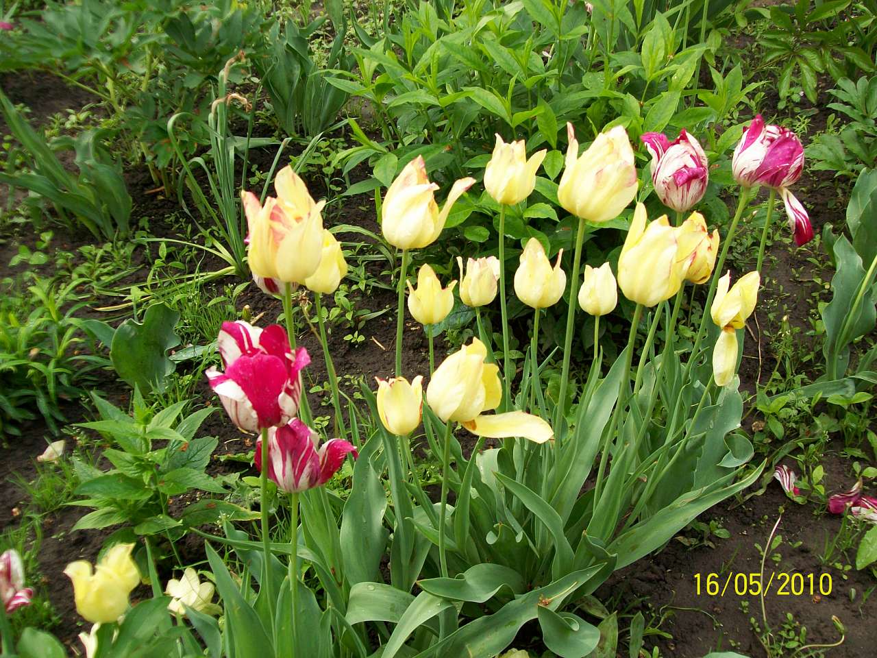 заповідник - Ковбащина