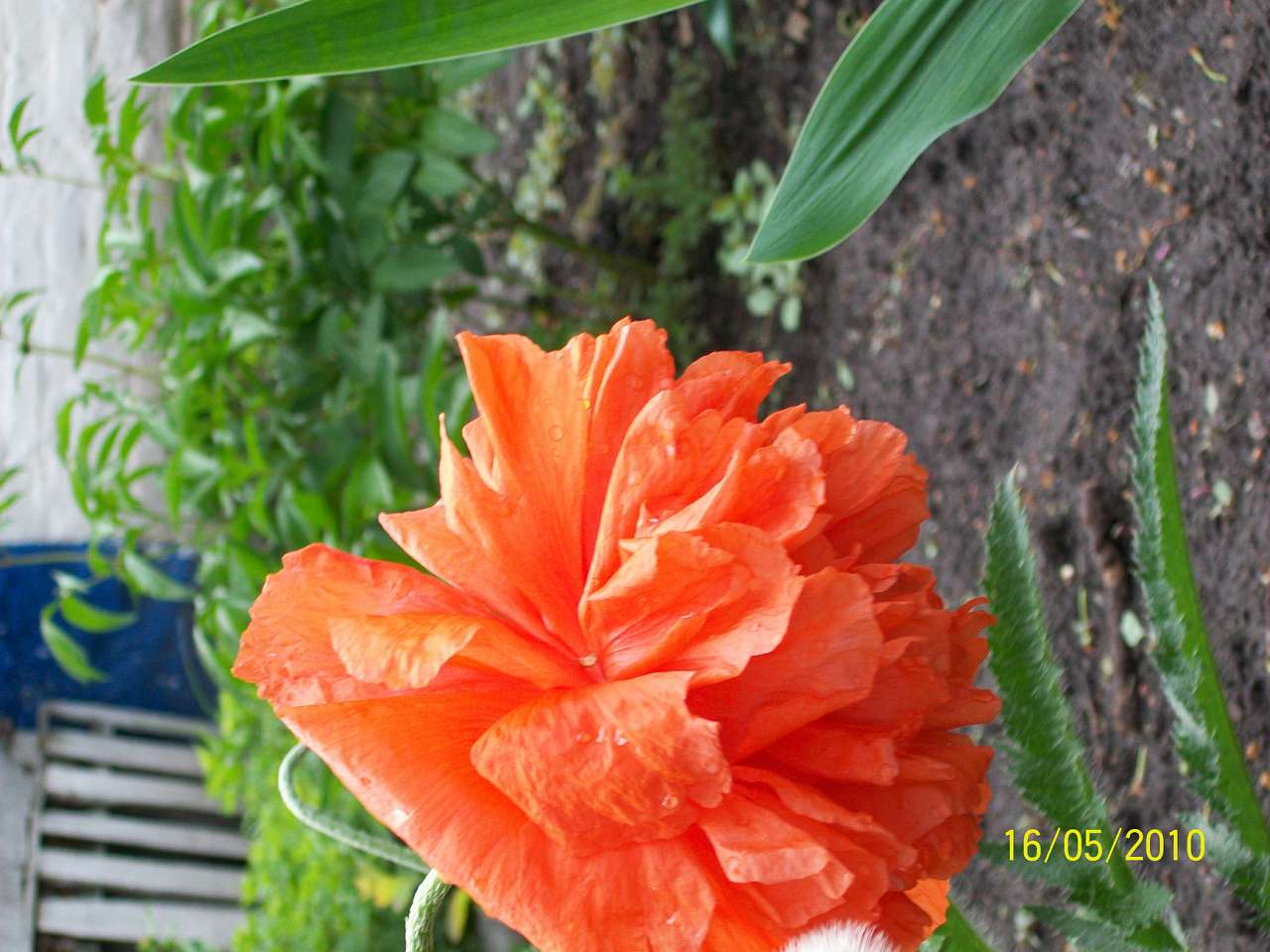 заповідник - Ковбащина