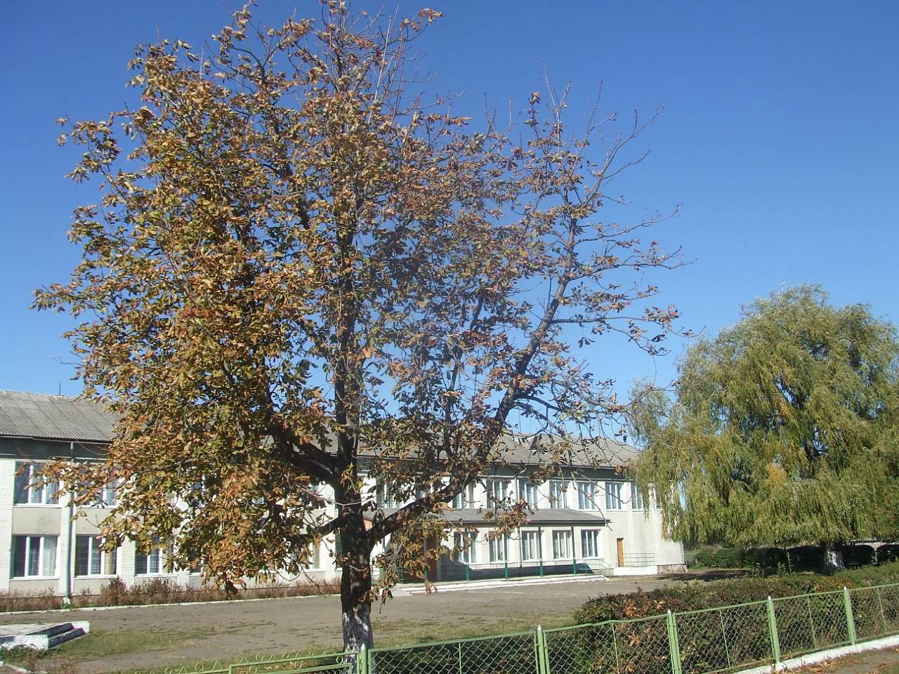 школа - Жулин