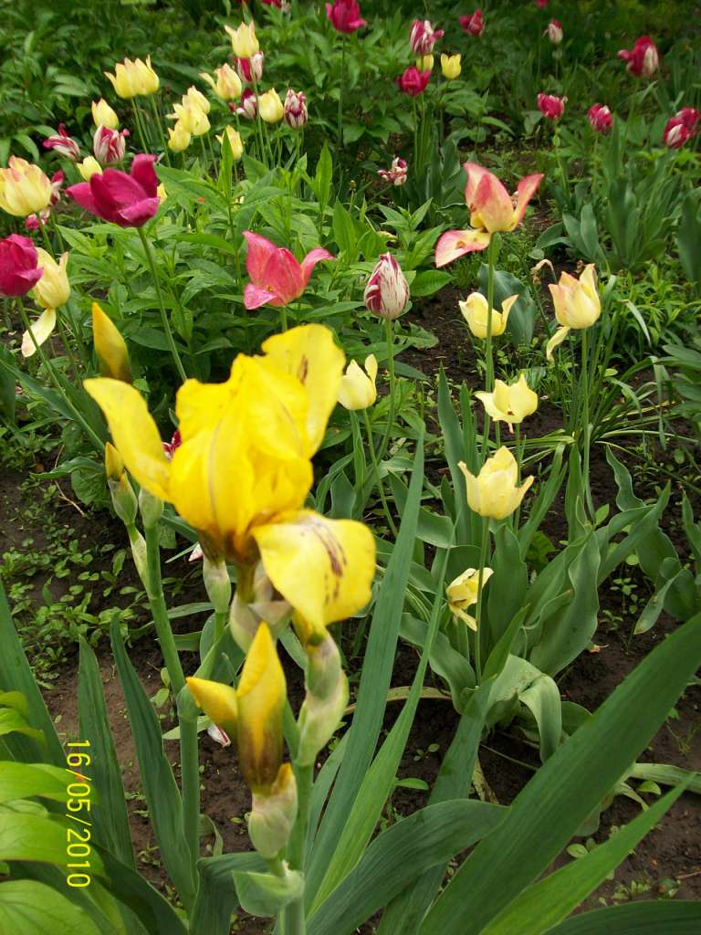 заповідник - Ковбащина