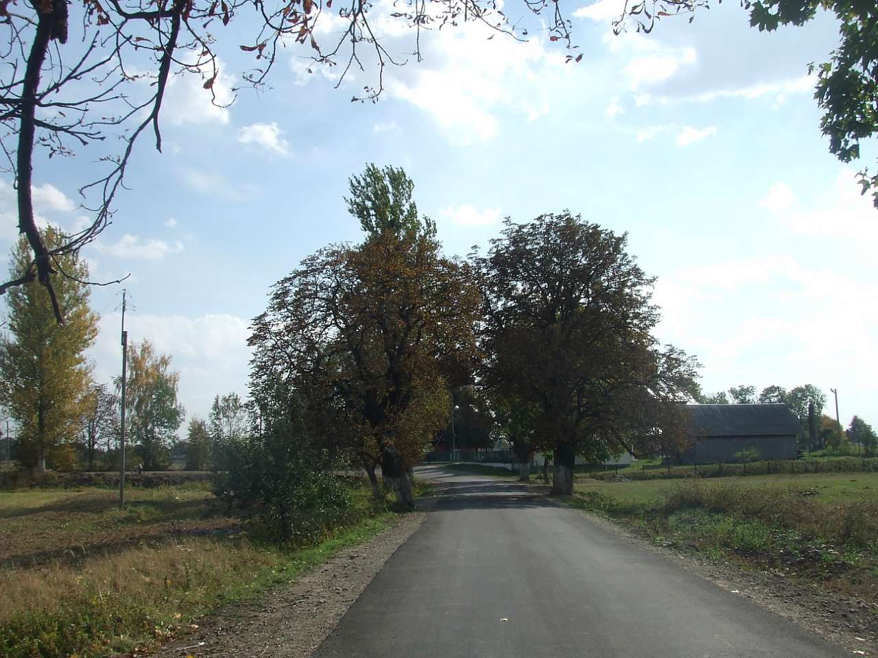 краєвид - Дулибы