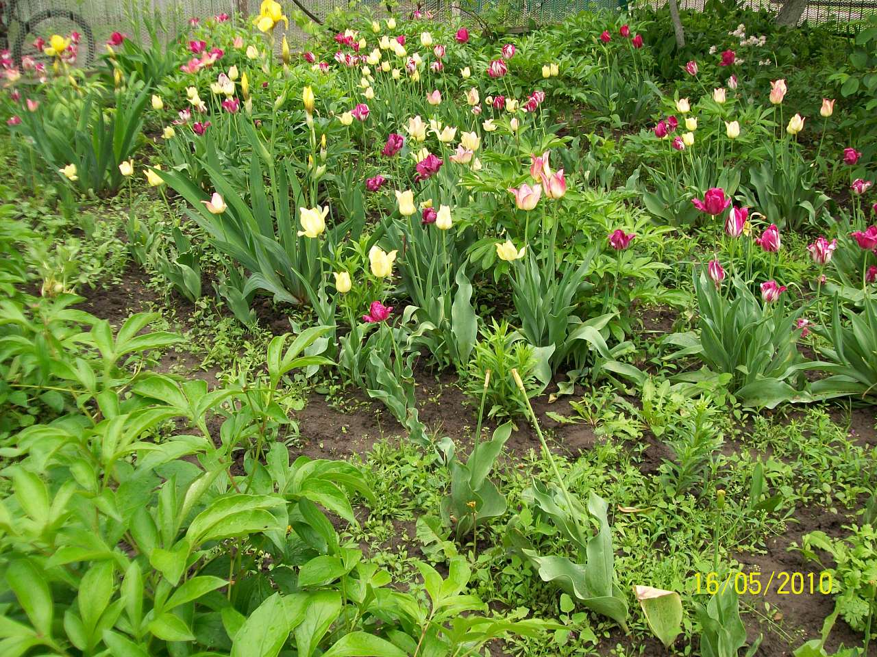 заповідник - Ковбащина