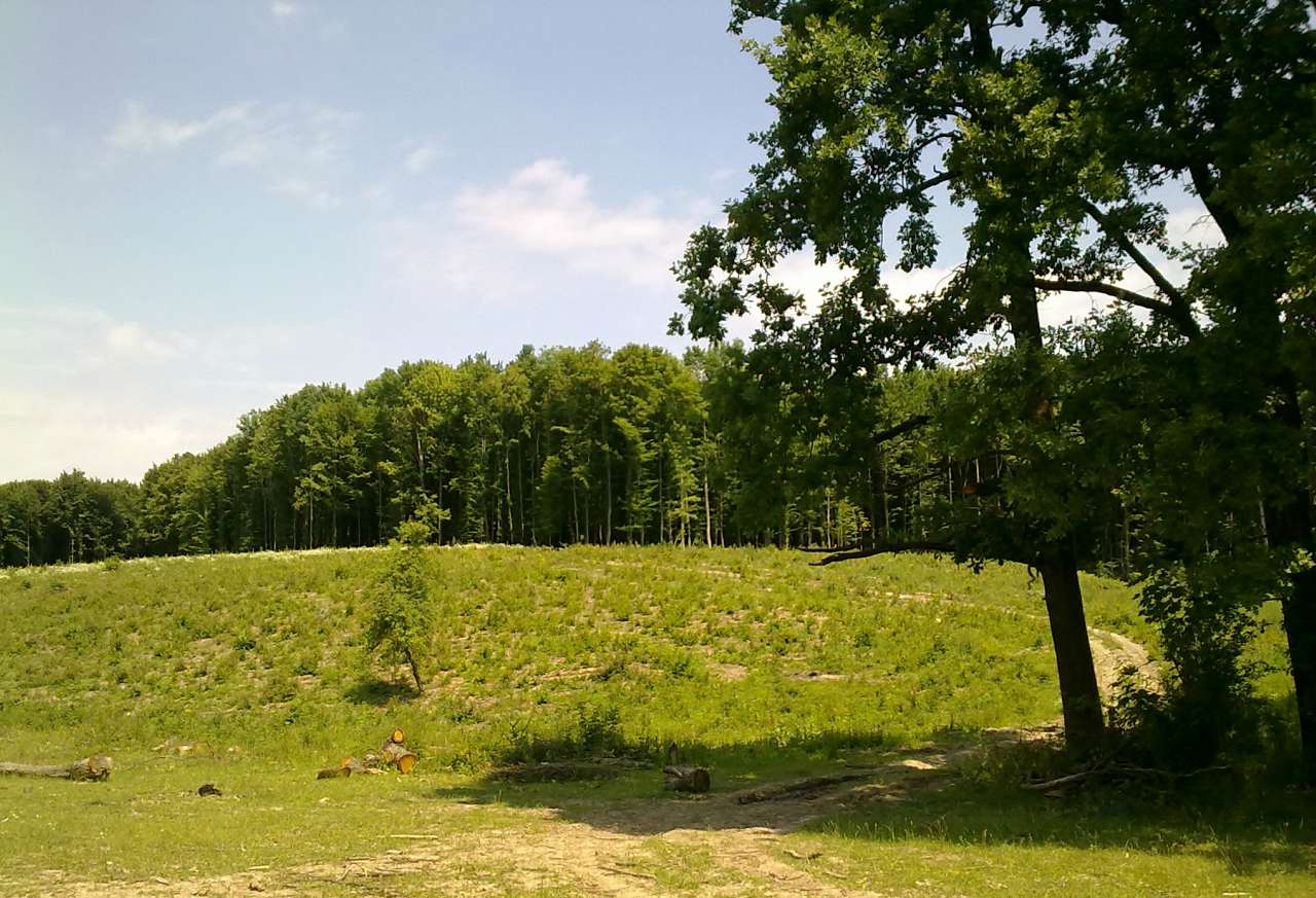 Рідні місця - Левківці