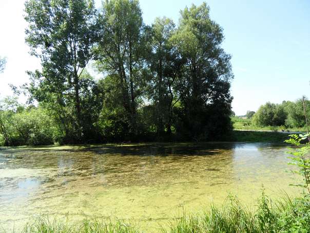 Сучасне село Збитин - Збитин