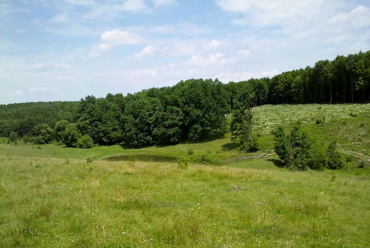 Рідні місця - Левківці