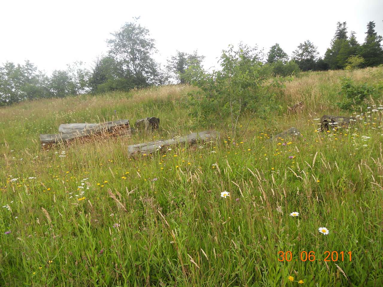 Маленька Швейцарія-2 - Опака