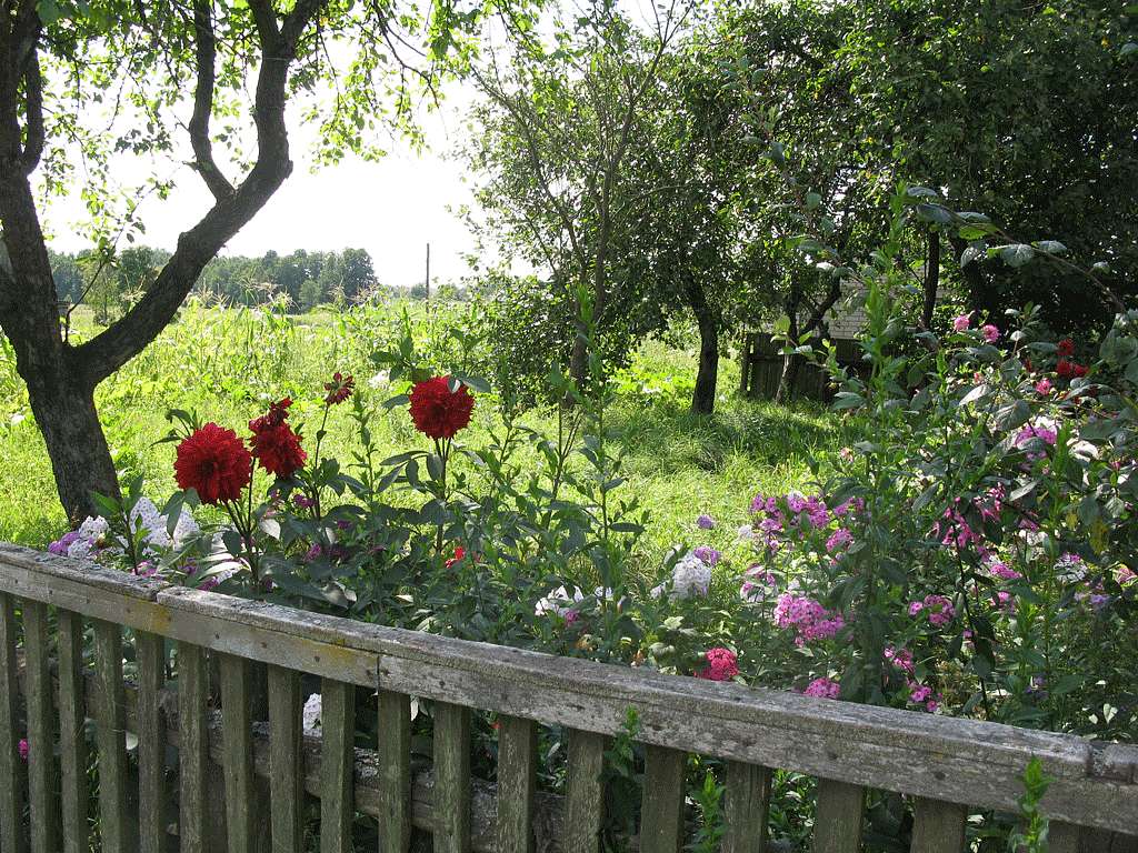 Ще одне поліське село! - Лісна Рудня