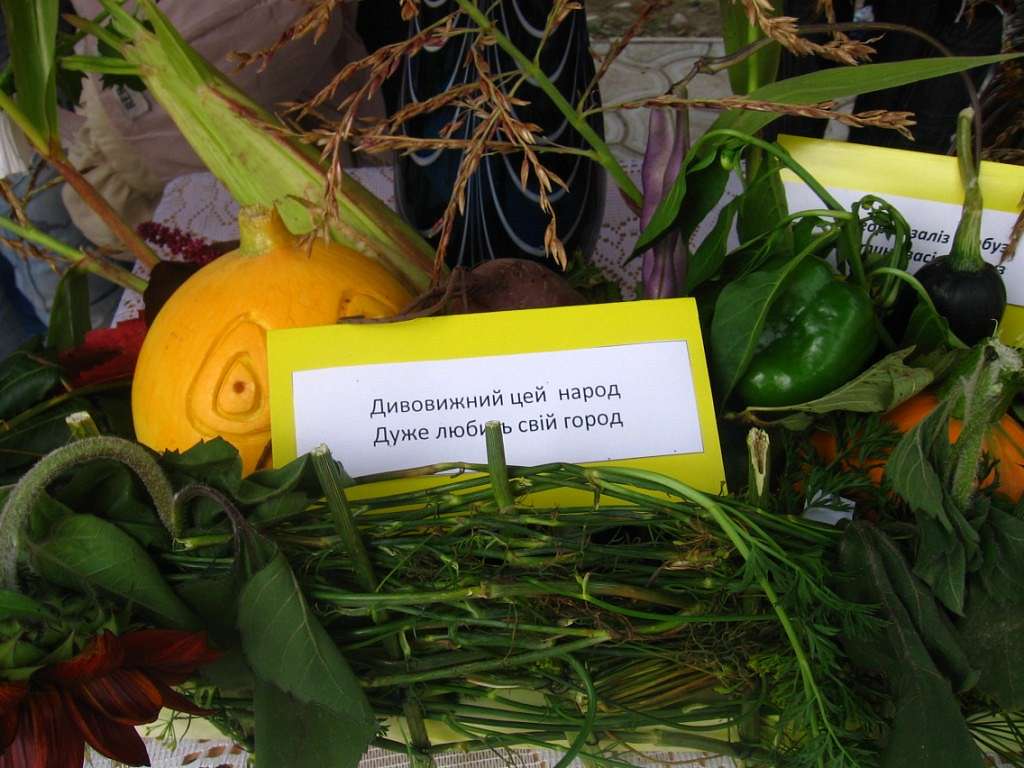 Будні  і свята Селятинської ЗОШ-інтернат - Селятин