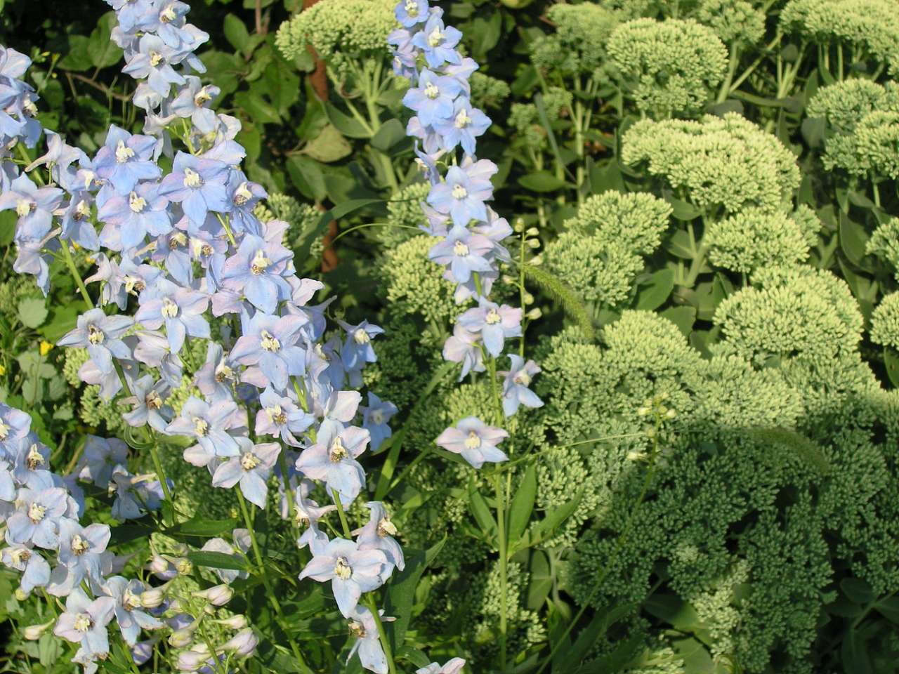 Стодоли  - найживописніше село Придесення - Стодоли