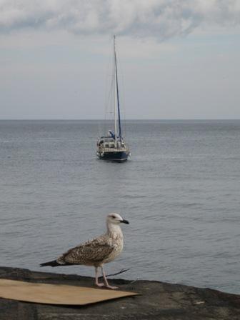 Осіння Ялта - Ялта