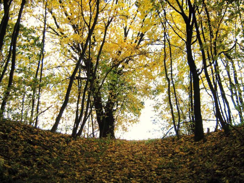 Барви осені - Иваница