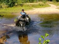Мальовниче Березове
