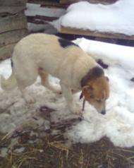 це все Лутава