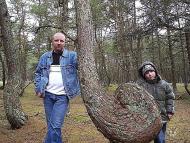 Луговські з Новокиївки (Довгачі)