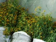 Свято-Николаевский храм