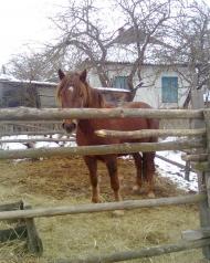 це все Лутава