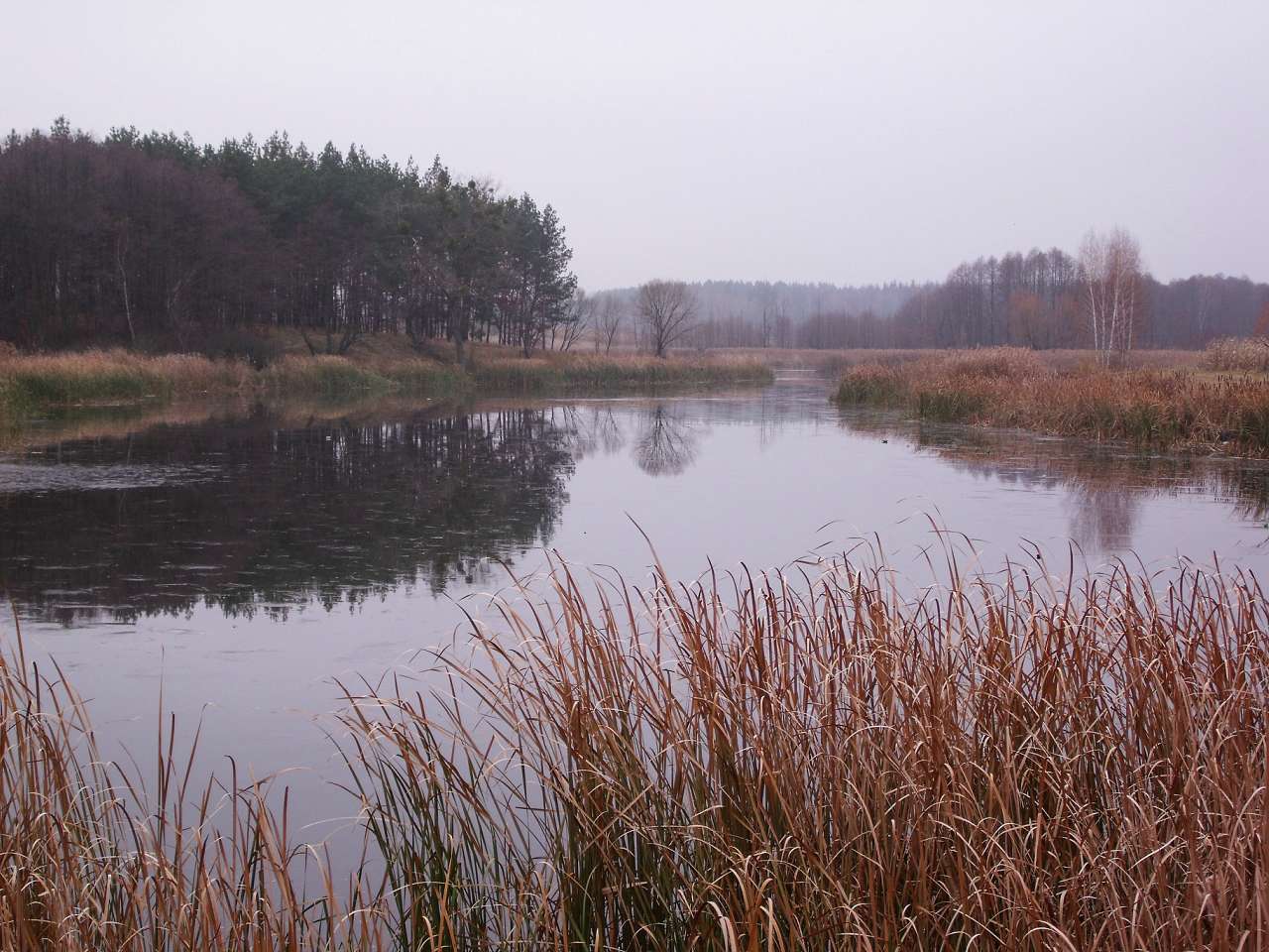 Листопад - Скригалівка