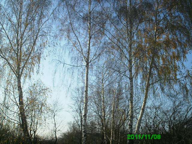 Село - Горинка