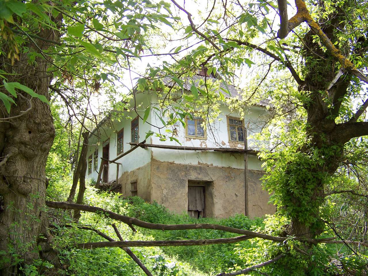 1 - Палійове