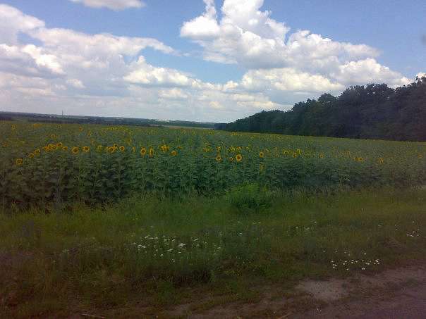 Санжариха - Санжариха