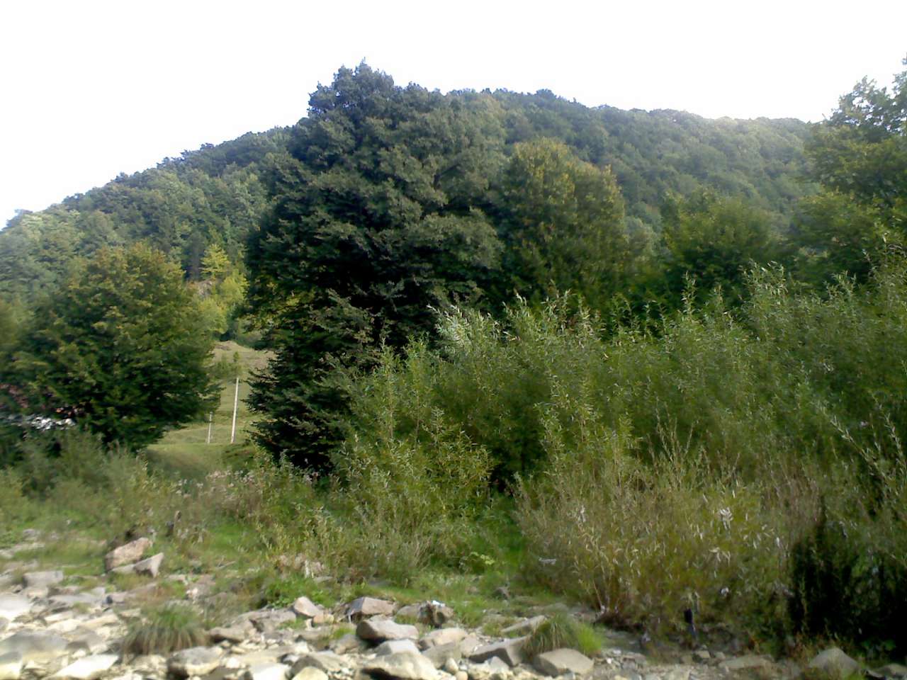 краєвиди - Pidpolozzya