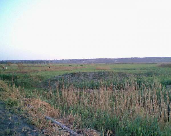 село - Гуляївка