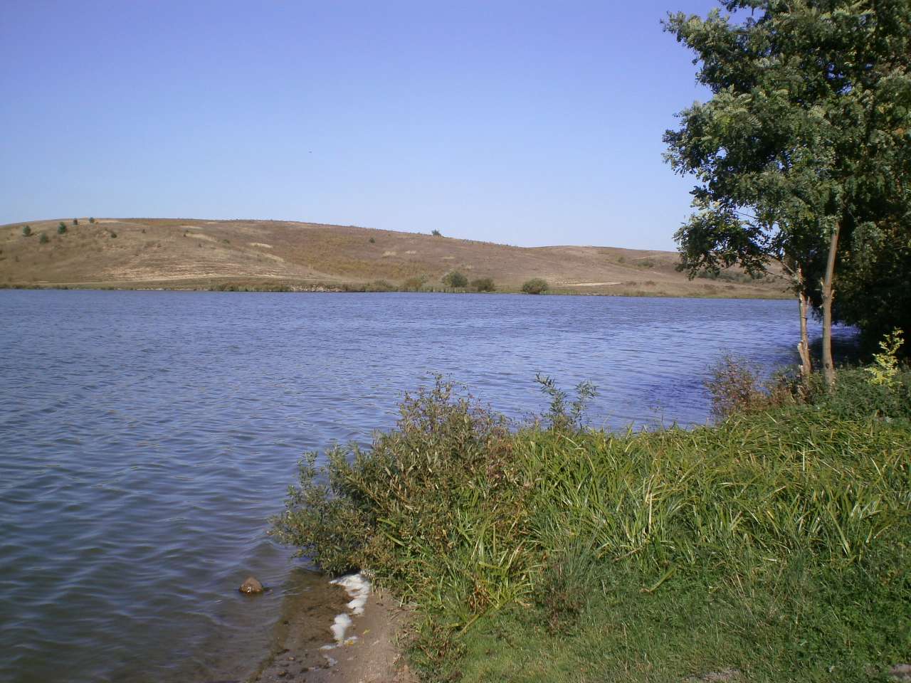 Мое село - Держаки